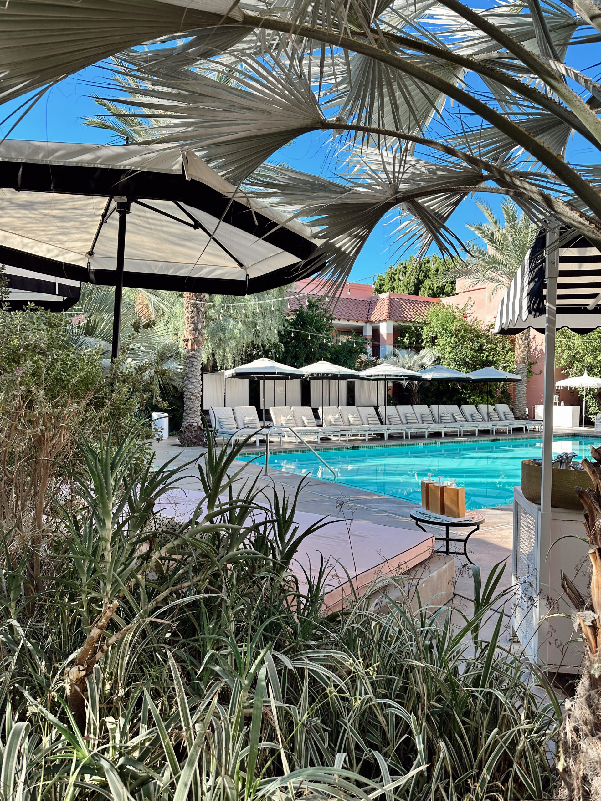 Edited in Tezza with: Vintage